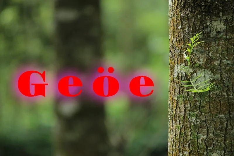 Geöe | 300 Similar Turkish Words